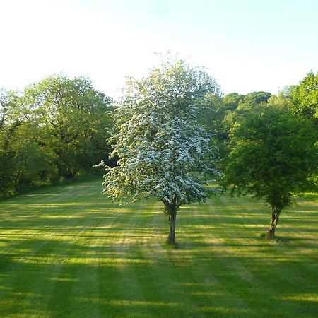 Newmoor Park Hotel Launceston Buitenkant foto