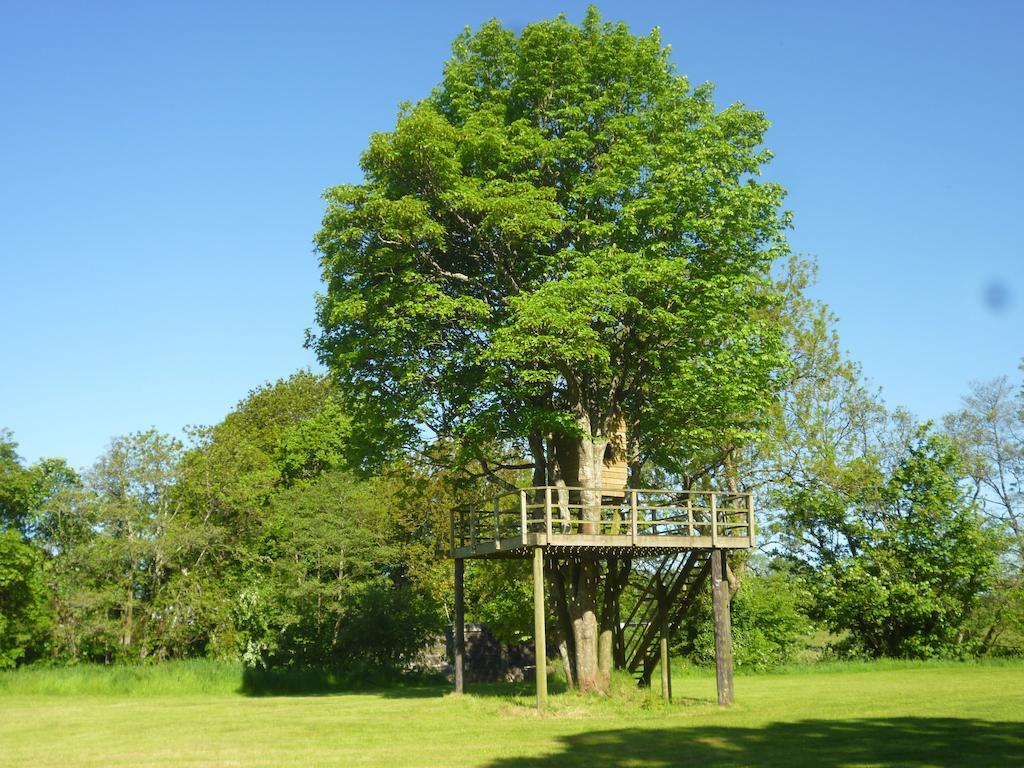 Newmoor Park Hotel Launceston Buitenkant foto