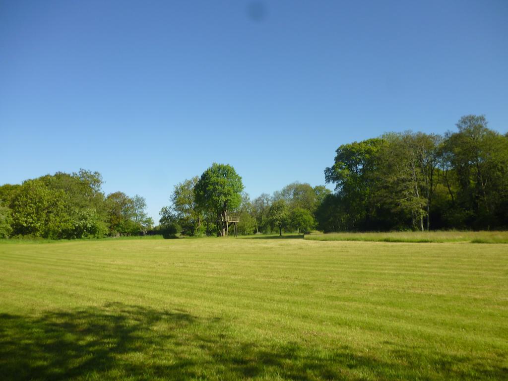 Newmoor Park Hotel Launceston Buitenkant foto