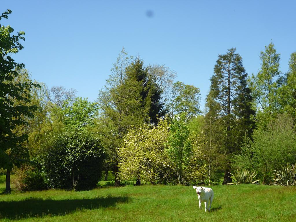 Newmoor Park Hotel Launceston Buitenkant foto
