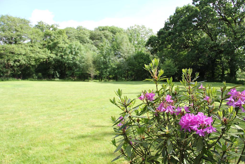 Newmoor Park Hotel Launceston Buitenkant foto