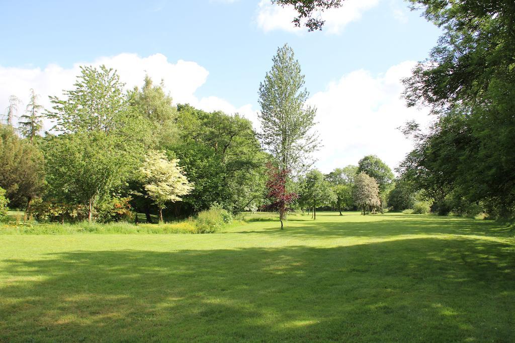 Newmoor Park Hotel Launceston Buitenkant foto