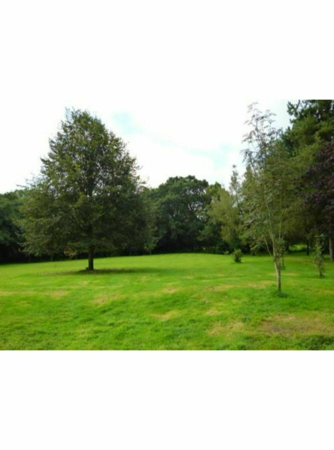 Newmoor Park Hotel Launceston Buitenkant foto