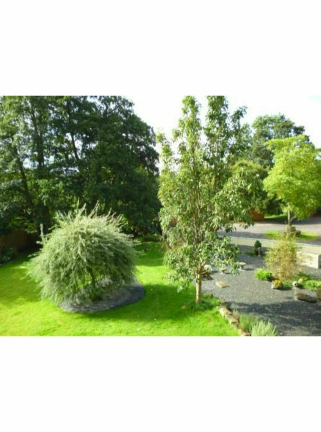 Newmoor Park Hotel Launceston Buitenkant foto